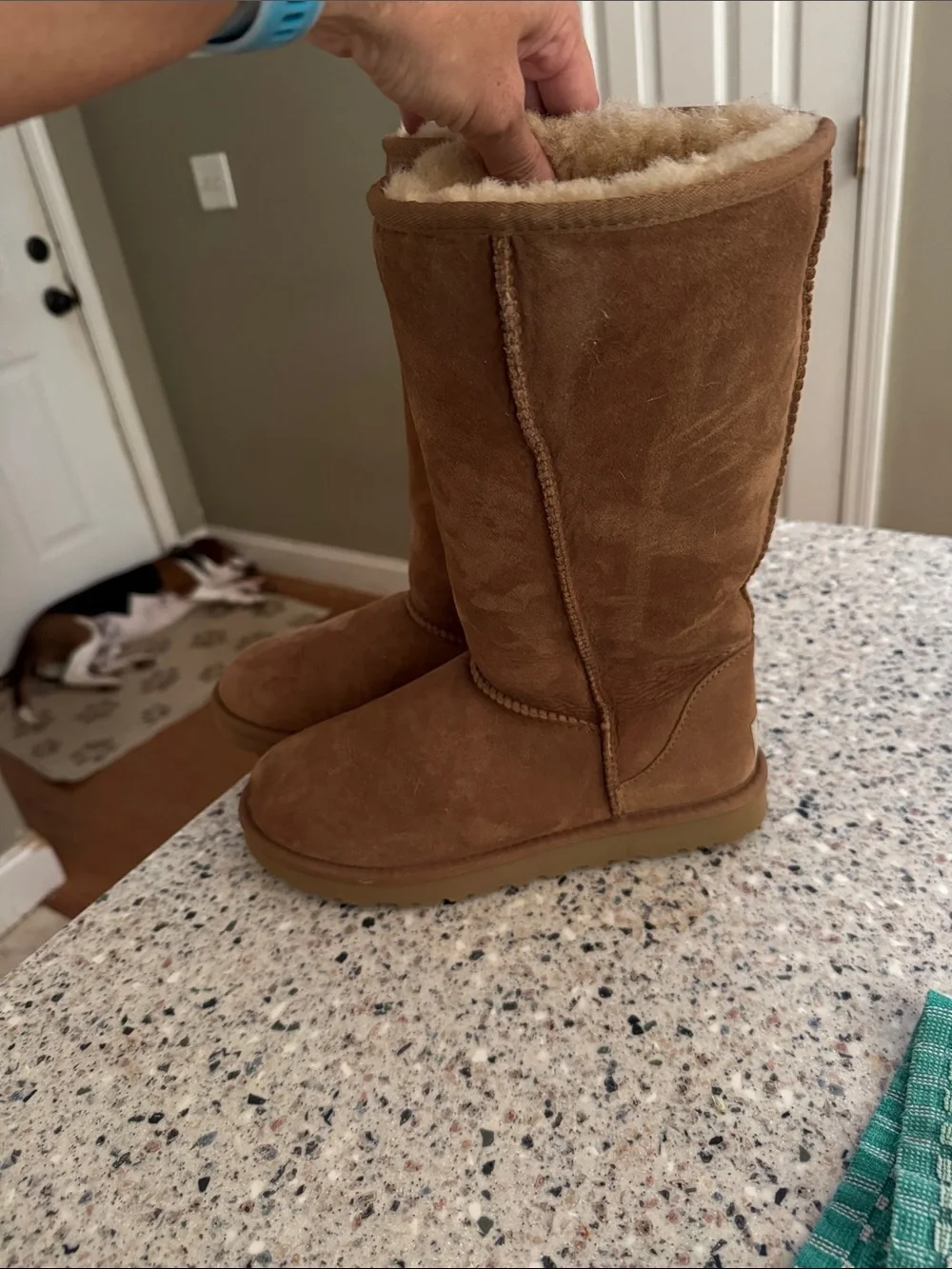 UGG Tall Suede Winter Boots in Chestnut Brown